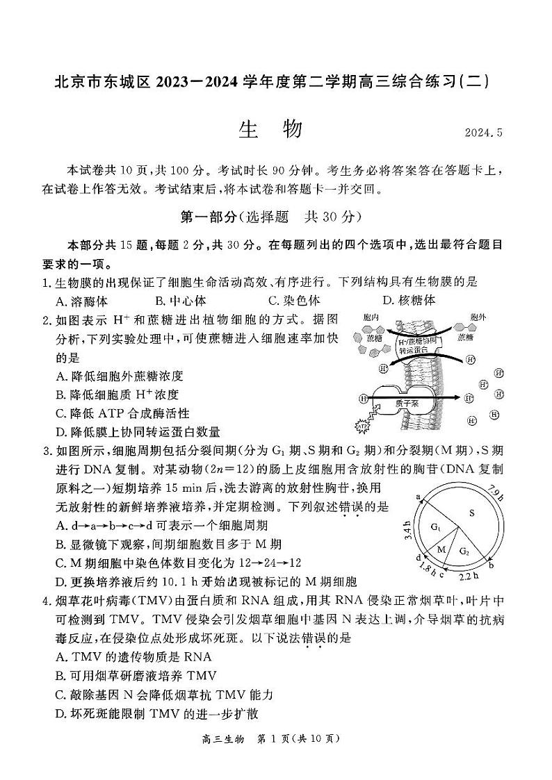 2024北京东城高三二模生物试题及答案第1页
