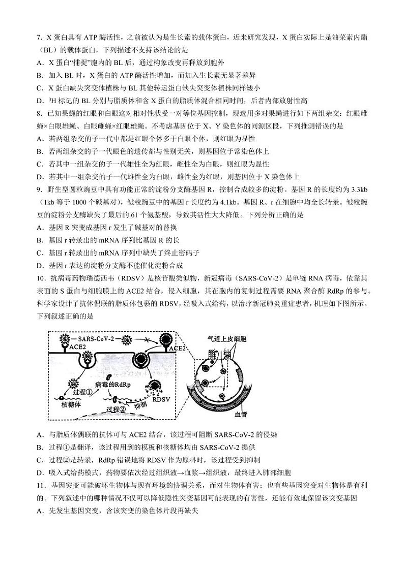 湖北省高中名校联盟2024届高三下学期5月第四次联合测评生物试题+答案第3页
