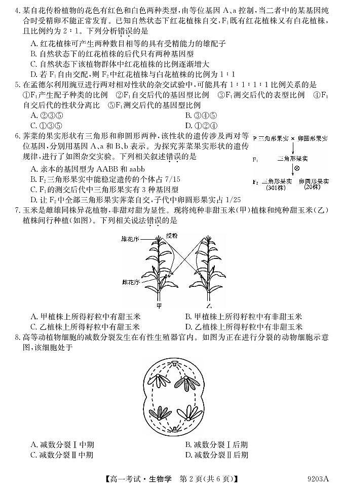 黑龙江省牡丹江市第二高级中学2023-2024学年高一下学期期中考试生物试卷02