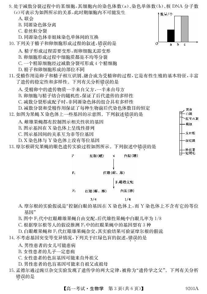 黑龙江省牡丹江市第二高级中学2023-2024学年高一下学期期中考试生物试卷03