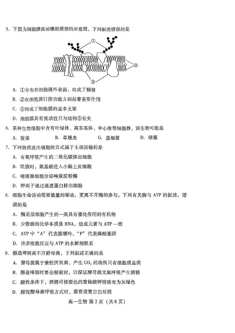 2024年山东省潍坊市高一学业水平测试模拟题生物试题第2页
