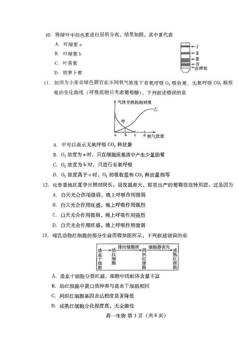 2024年山东省潍坊市高一学业水平测试模拟题生物试题第3页