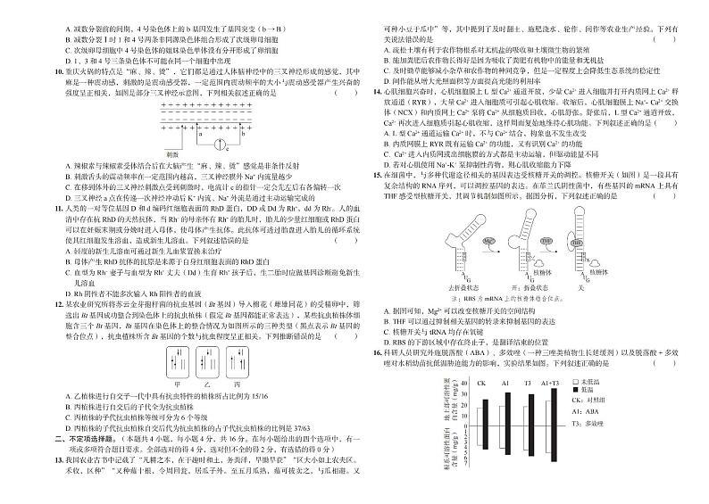 2024长沙一中高三下学期三模试题生物PDF版含解析02