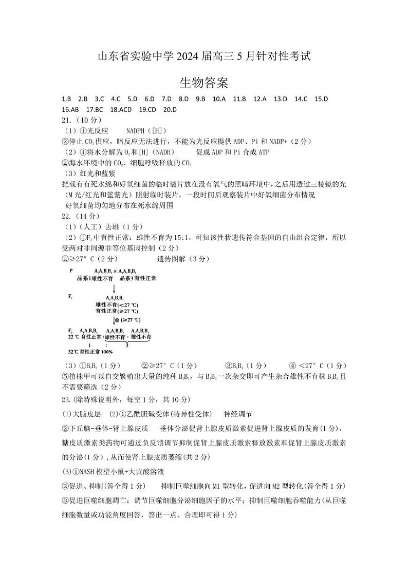 2024山东省实验中学高三下学期5月针对性考试（二模）生物PDF版含答案01