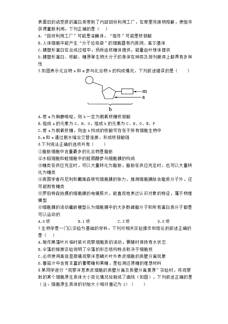 2024郑州宇华实验学校高一下学期4月期中考试生物含解析02