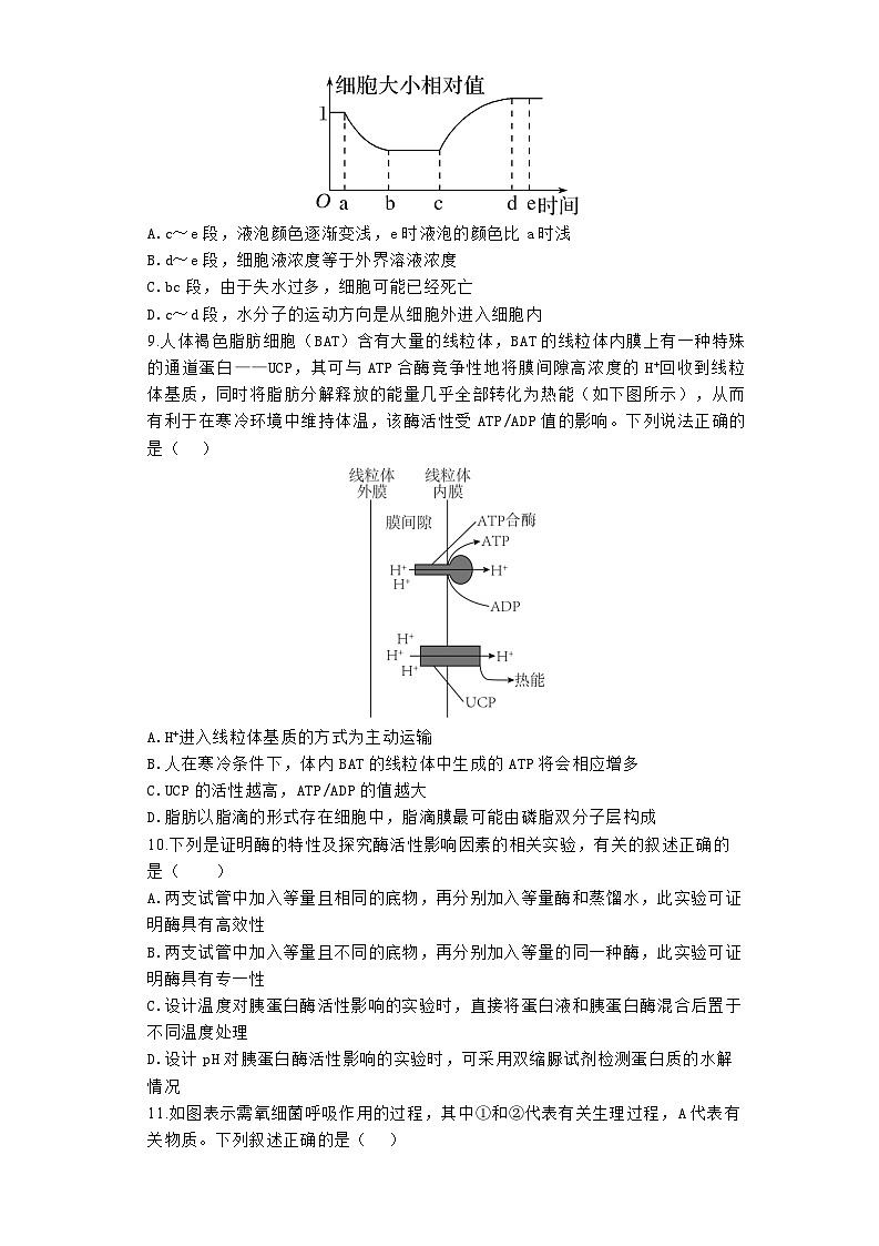 2024郑州宇华实验学校高一下学期4月期中考试生物含解析03