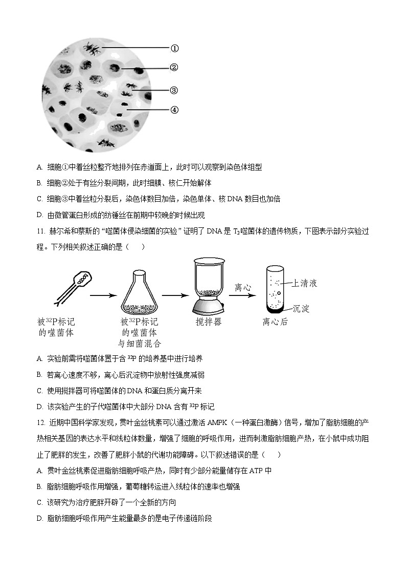 2024温州新力量联盟高一下学期期中考试生物含解析03