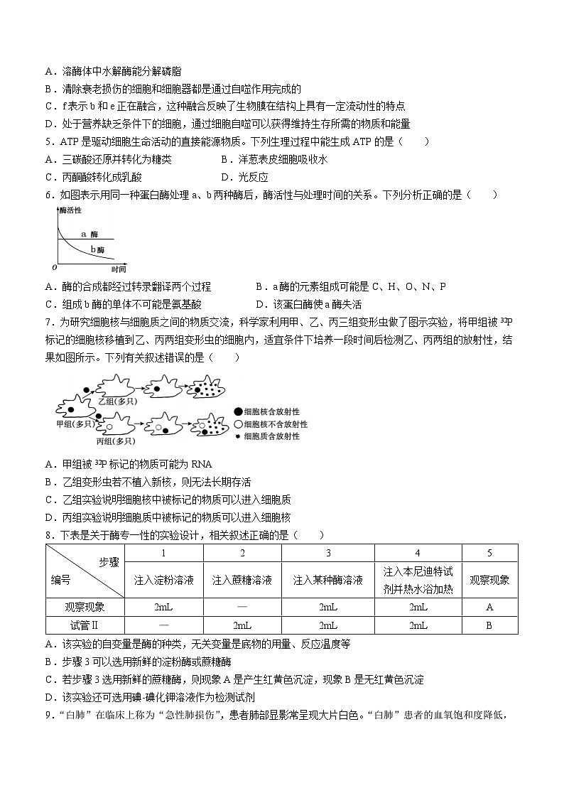 2024浙江省环大罗山联盟高一下学期4月期中考试生物含答案第2页