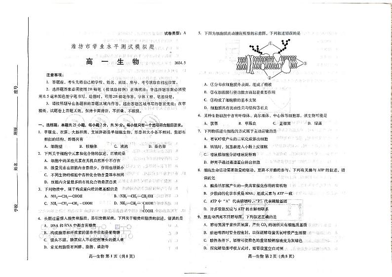 2024年潍坊市高一学业水平考试模拟生物试题01