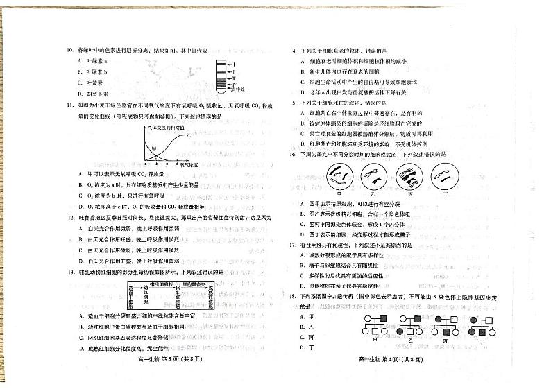 2024年潍坊市高一学业水平考试模拟生物试题02