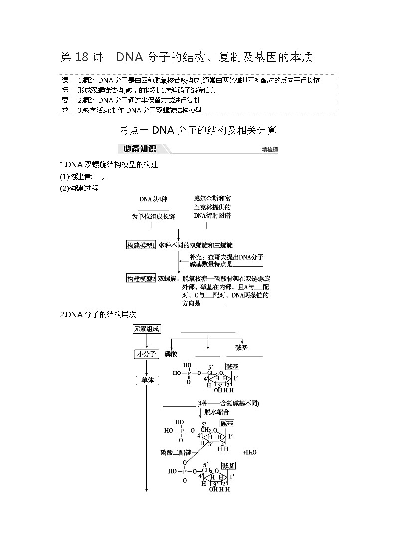 2025届高考 一轮复习  人教版 DNA分子的结构、复制及基因的本质  学案01