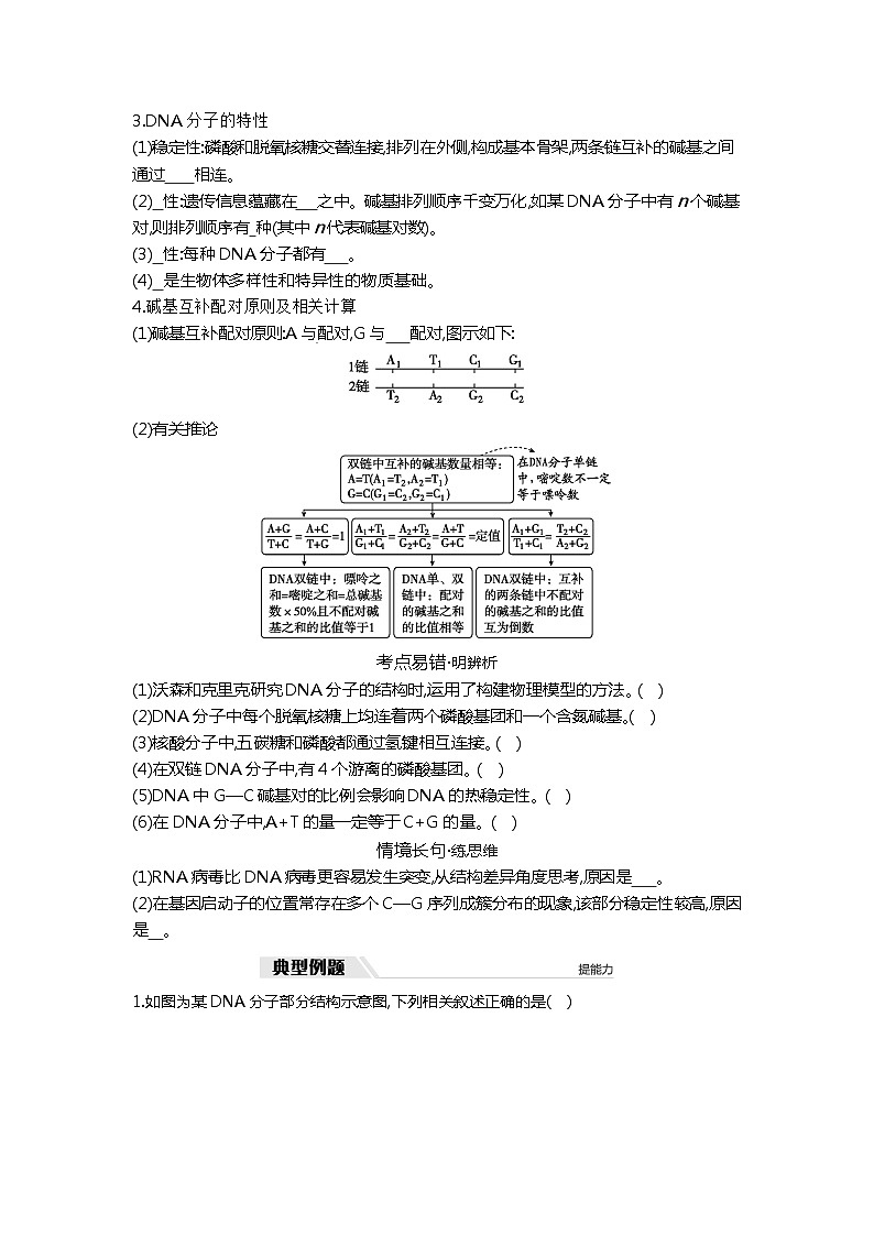 2025届高考 一轮复习  人教版 DNA分子的结构、复制及基因的本质  学案03