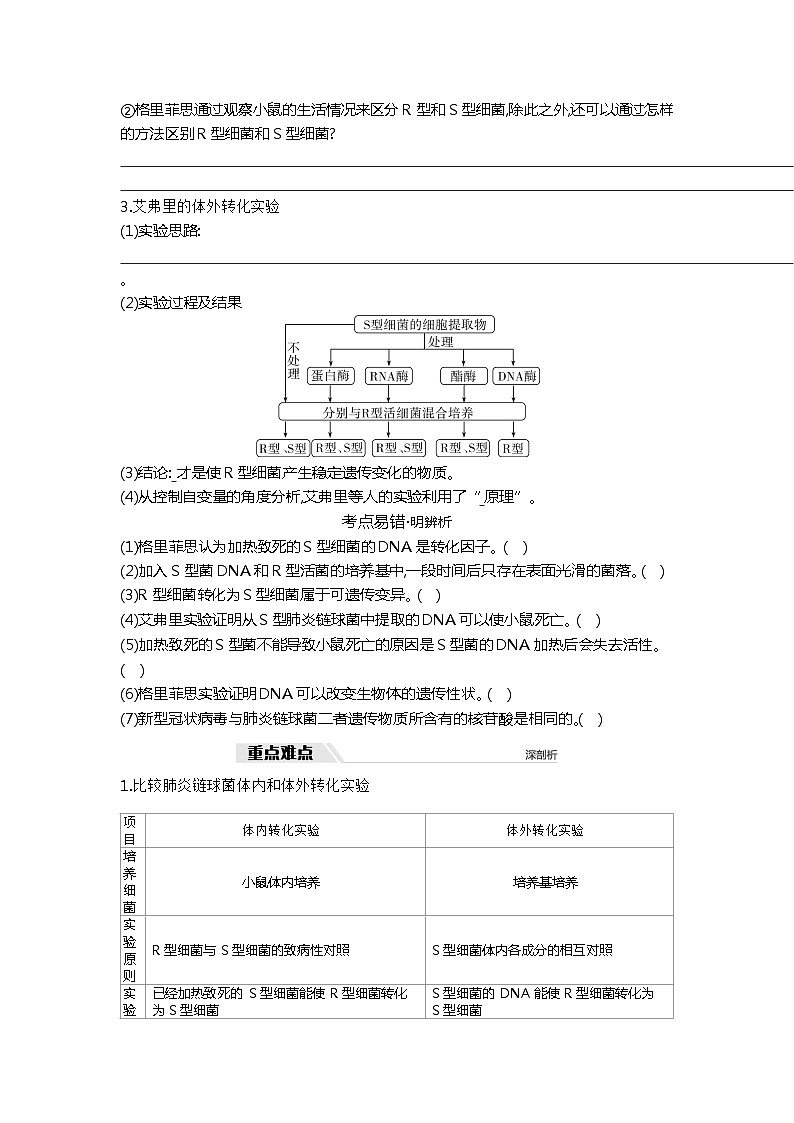 2025届高考 一轮复习  人教版 DNA是主要的遗传物质  学案02
