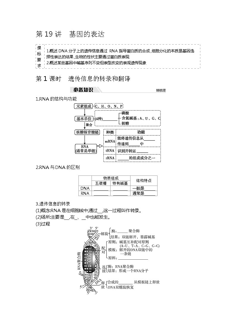 2025届高考 一轮复习  人教版 遗传信息的转录和翻译  学案01