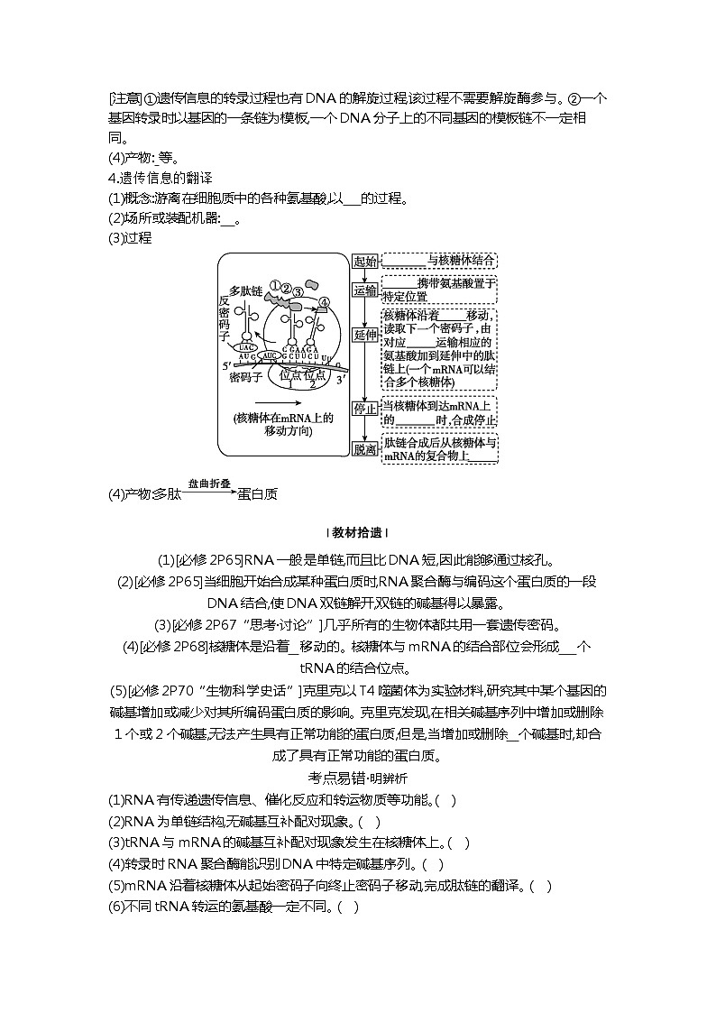 2025届高考 一轮复习  人教版 遗传信息的转录和翻译  学案02