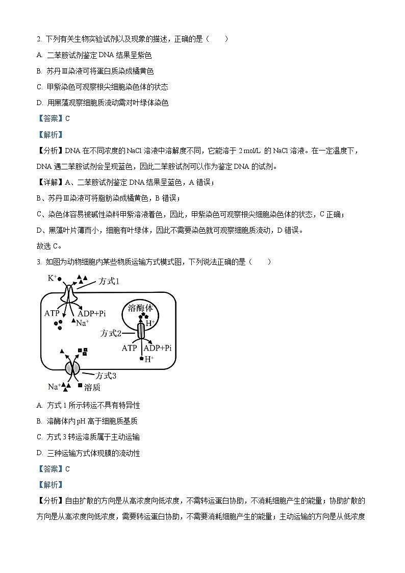 2024届湖南省岳阳市高三下学期教学质量监测生物试题（解析版）第2页