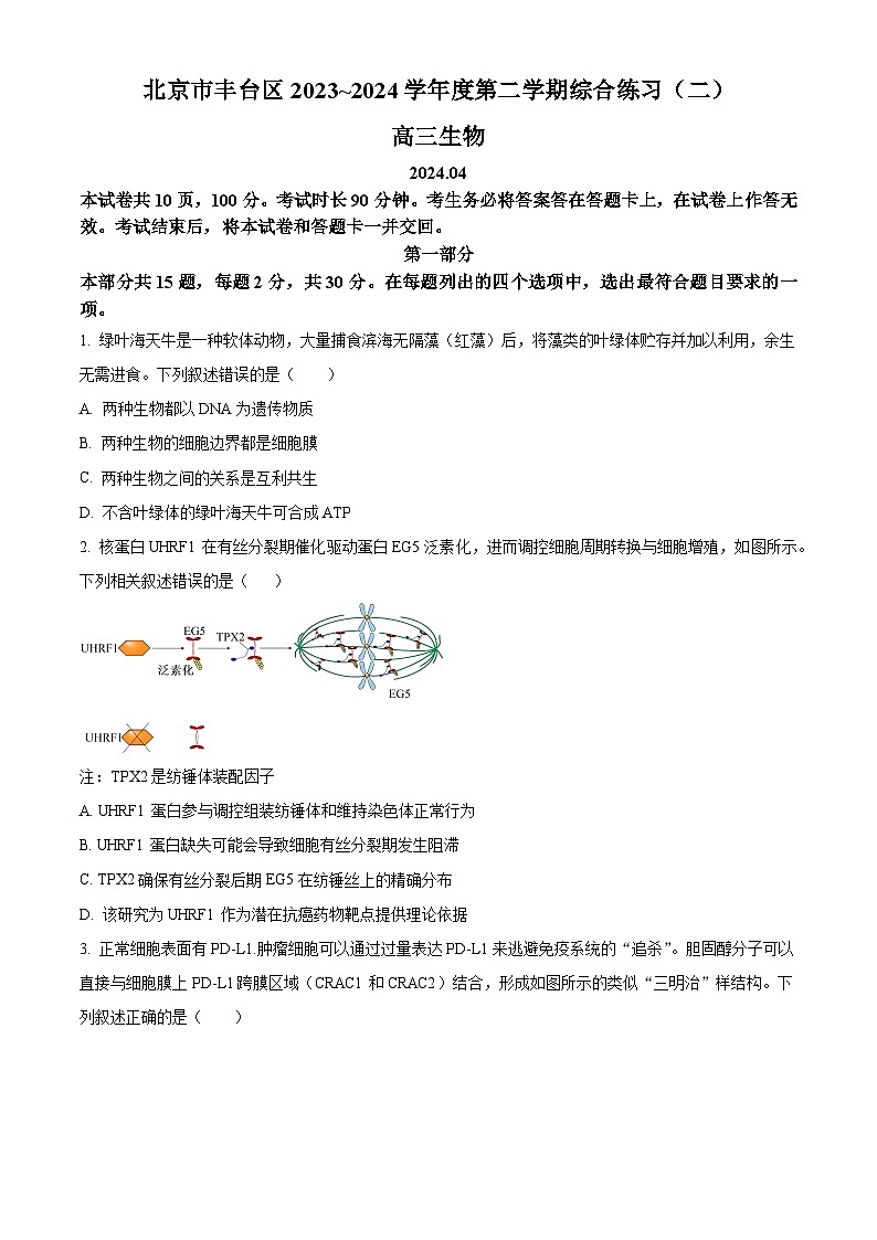 北京市丰台区2023-2024学年高三下学期二模考试生物试题（原卷版）第1页