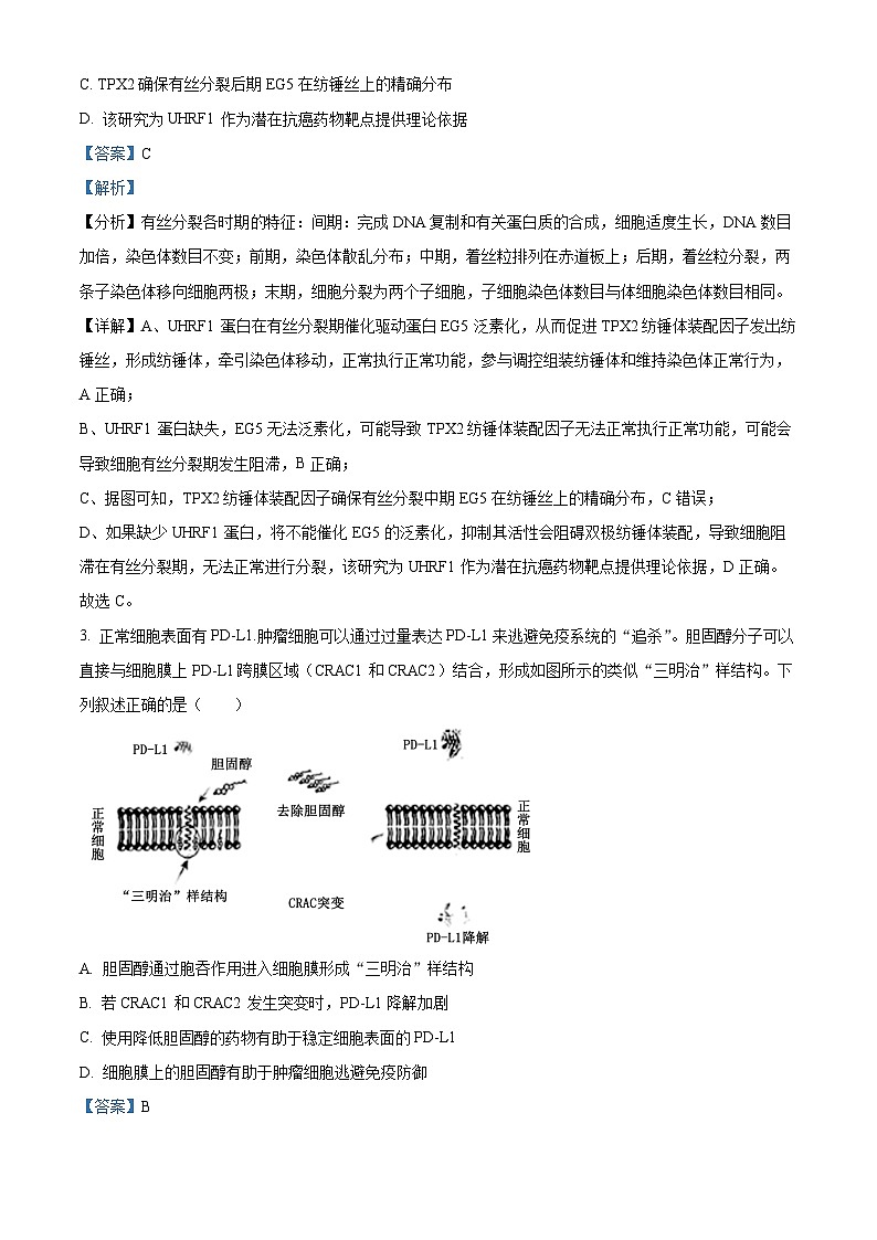 北京市丰台区2023-2024学年高三下学期二模考试生物试题（解析版）第2页