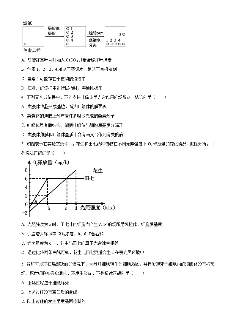 广东省茂名市信宜市2023-2024学年高一下学期4月期中生物试题（原卷版）第2页