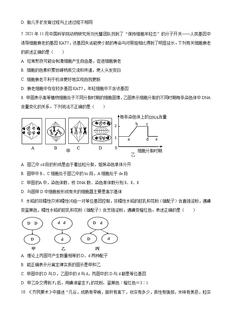 广东省茂名市信宜市2023-2024学年高一下学期4月期中生物试题（原卷版）第3页