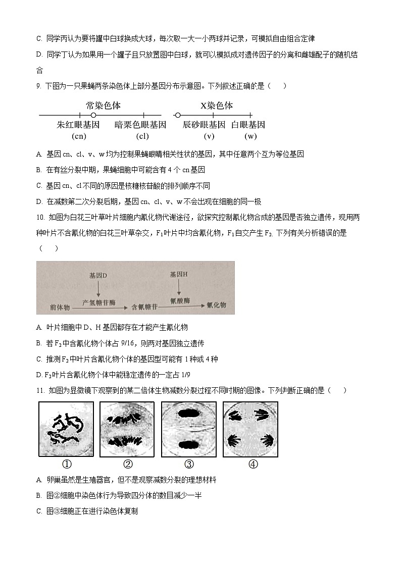 河南省信阳市普通高中2023-2024学年高一下学期4月期中教学质量检测生物试题（原卷版+解析版）03