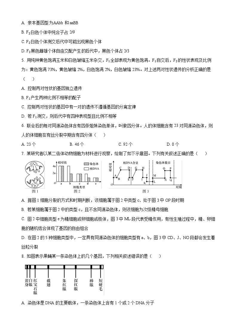 广东省云浮市罗定市2023-2024学年高一下学期期中考试生物试题（原卷版）第2页