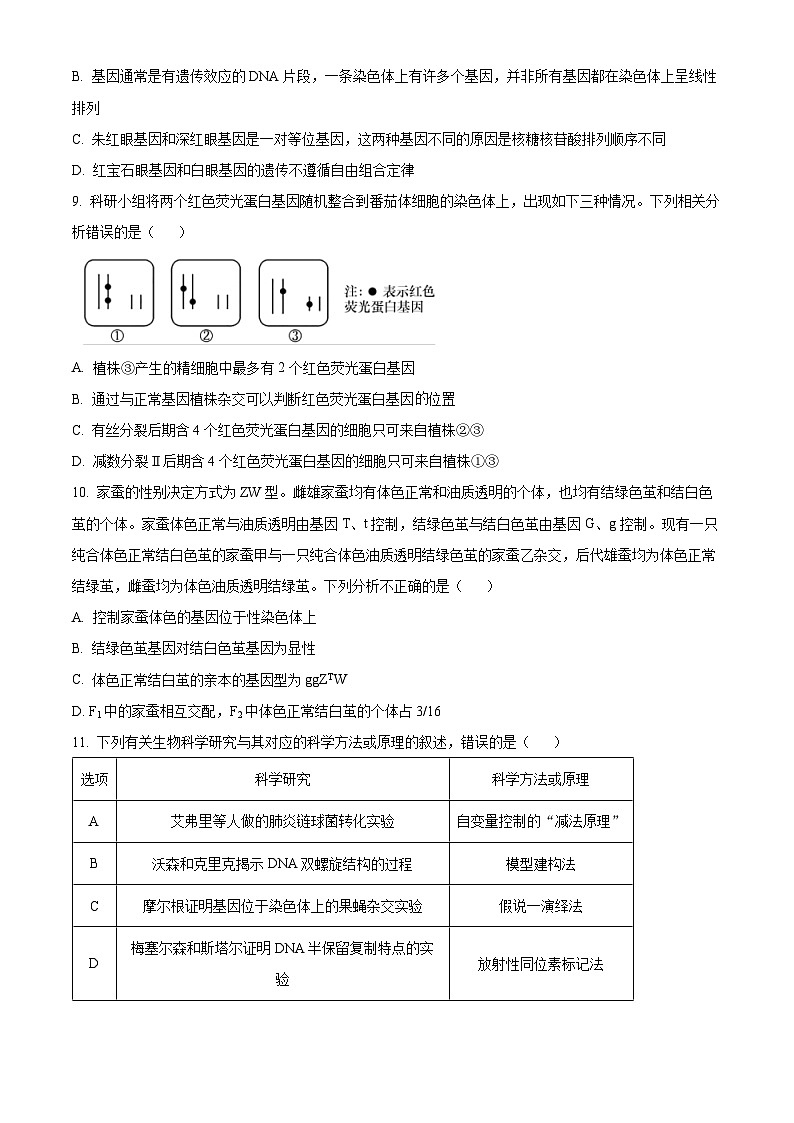 广东省云浮市罗定市2023-2024学年高一下学期期中考试生物试题（原卷版）第3页