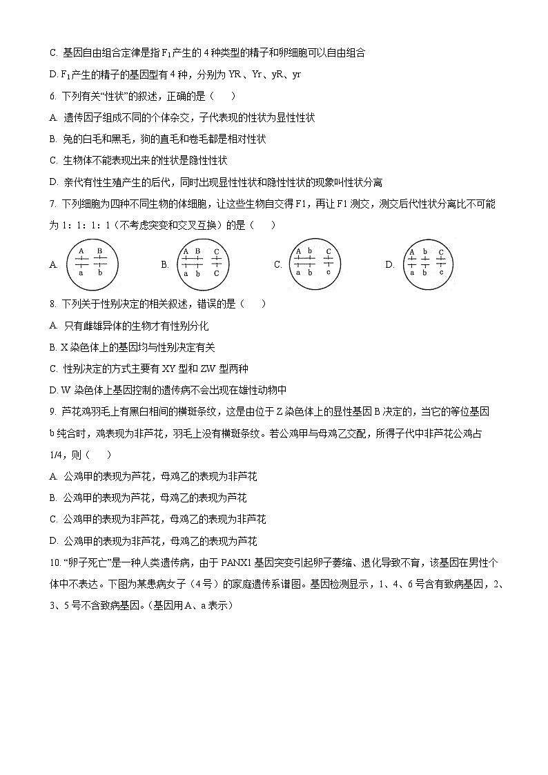 江苏省徐州市2023-2024学年高一下学期期中考试生物试题（原卷版+解析版）02