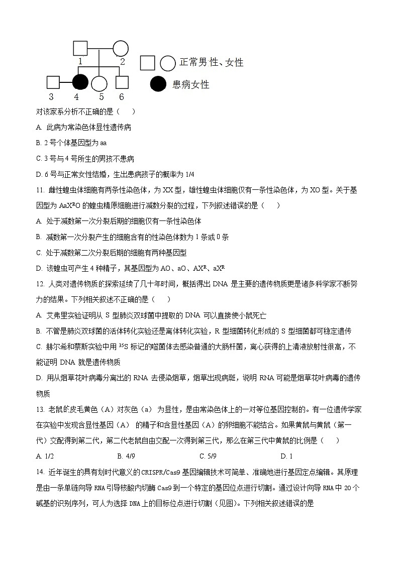江苏省徐州市2023-2024学年高一下学期期中考试生物试题（原卷版+解析版）03