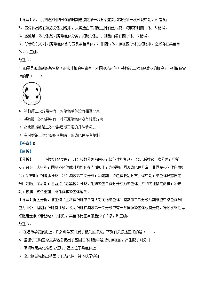 江苏省盐城市阜宁县2023-2024学年高一下学期4月期中生物试题（原卷版+解析版）02