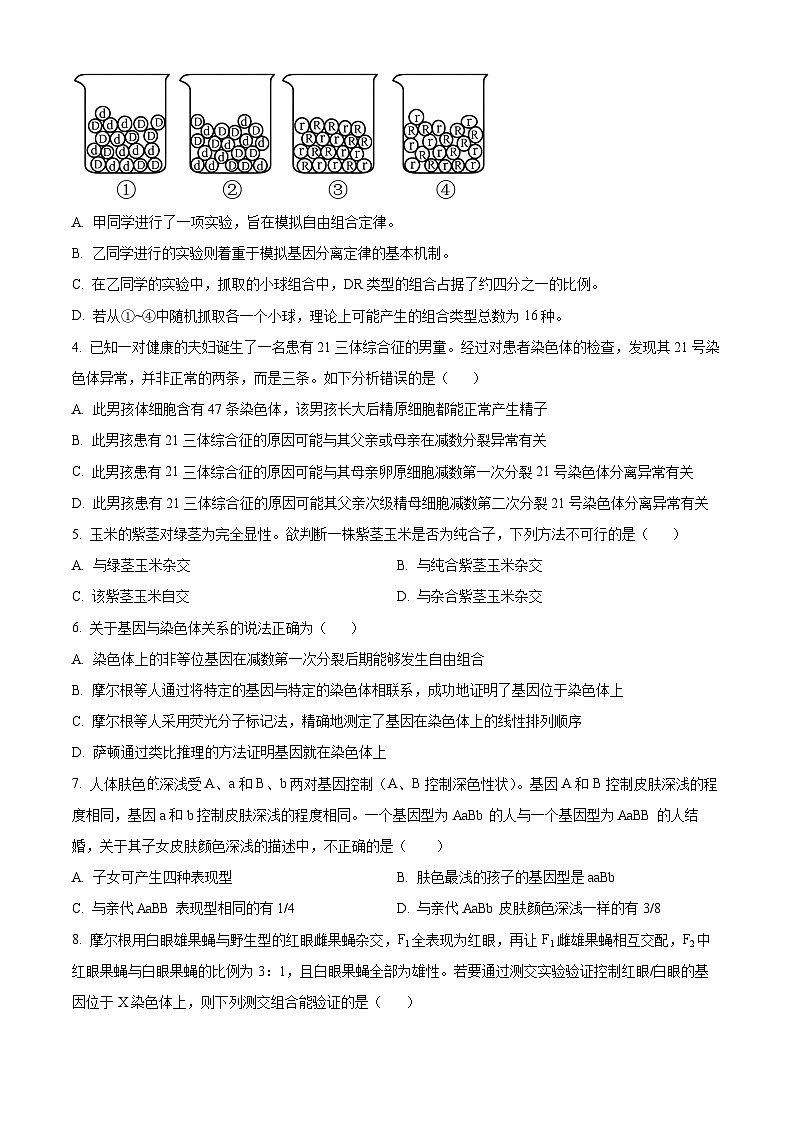 陕西省安康市2023-2024学年高一下学期4月期中生物试题（原卷版+解析版）02