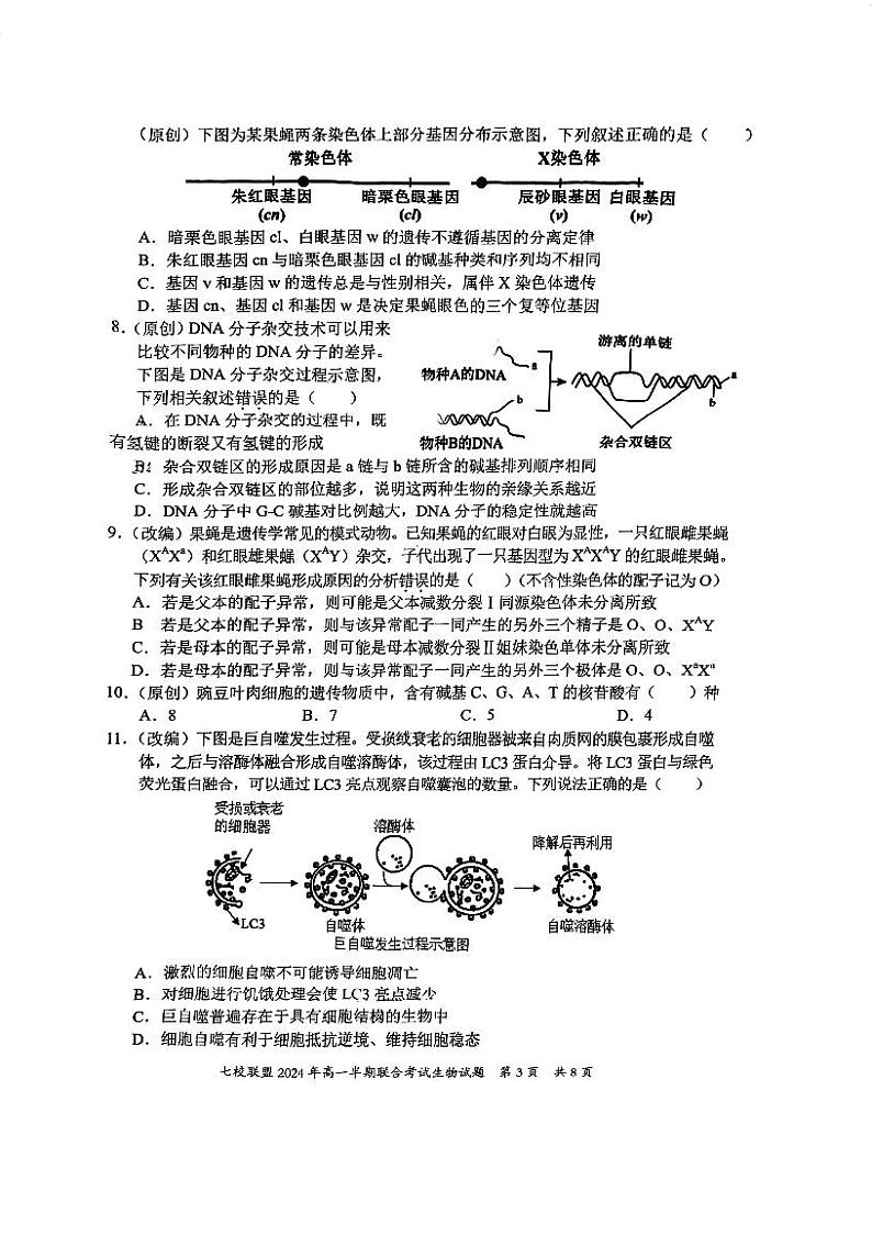 重庆市长寿中学校2023-2024学年高一下学期5月期中生物试题第3页