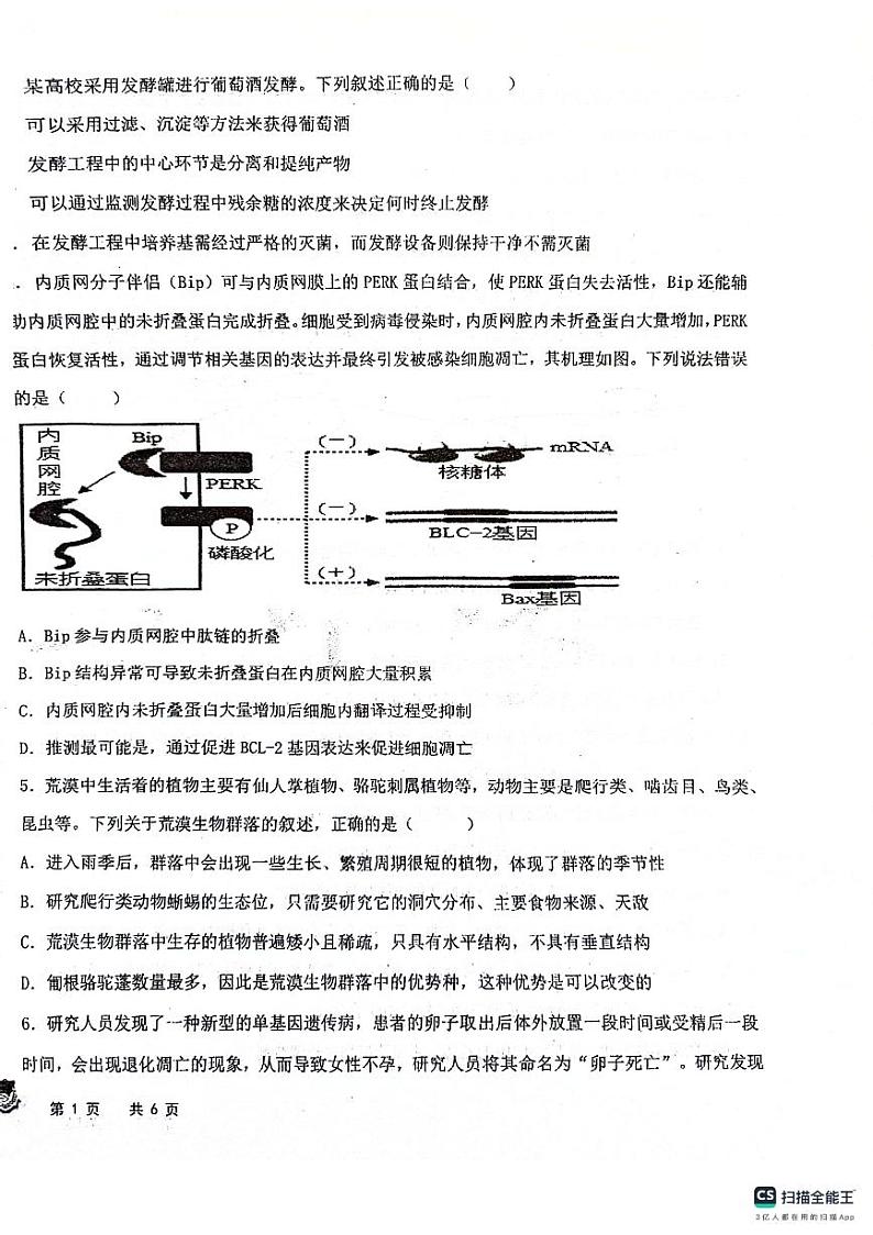 黑龙江省大庆市实验中学实验二部2024届高三下学期5月月考试题生物PDF版含答案02