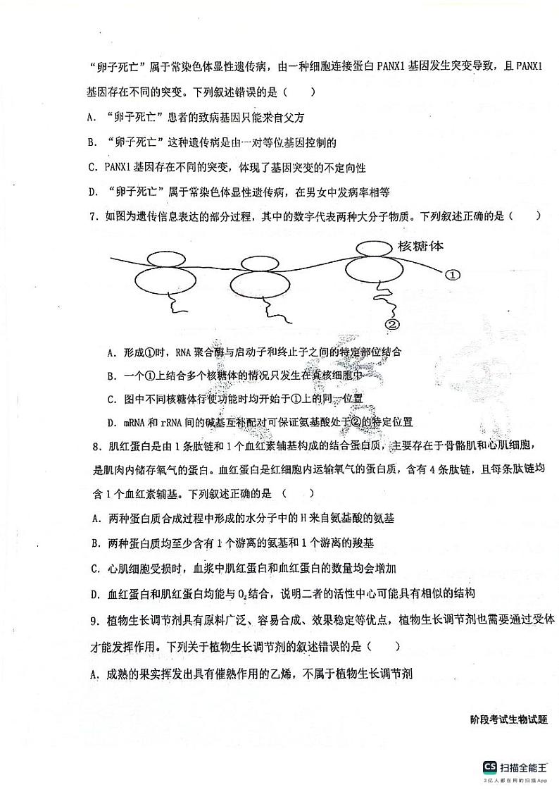 黑龙江省大庆市实验中学实验二部2024届高三下学期5月月考试题生物PDF版含答案03