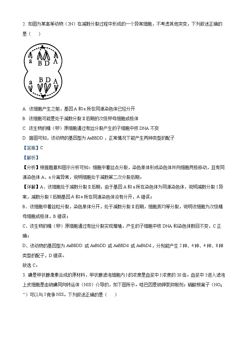 河南省漯河市源汇区高级中学2023-2024学年高三下学期5月月考生物试题（解析版）第2页