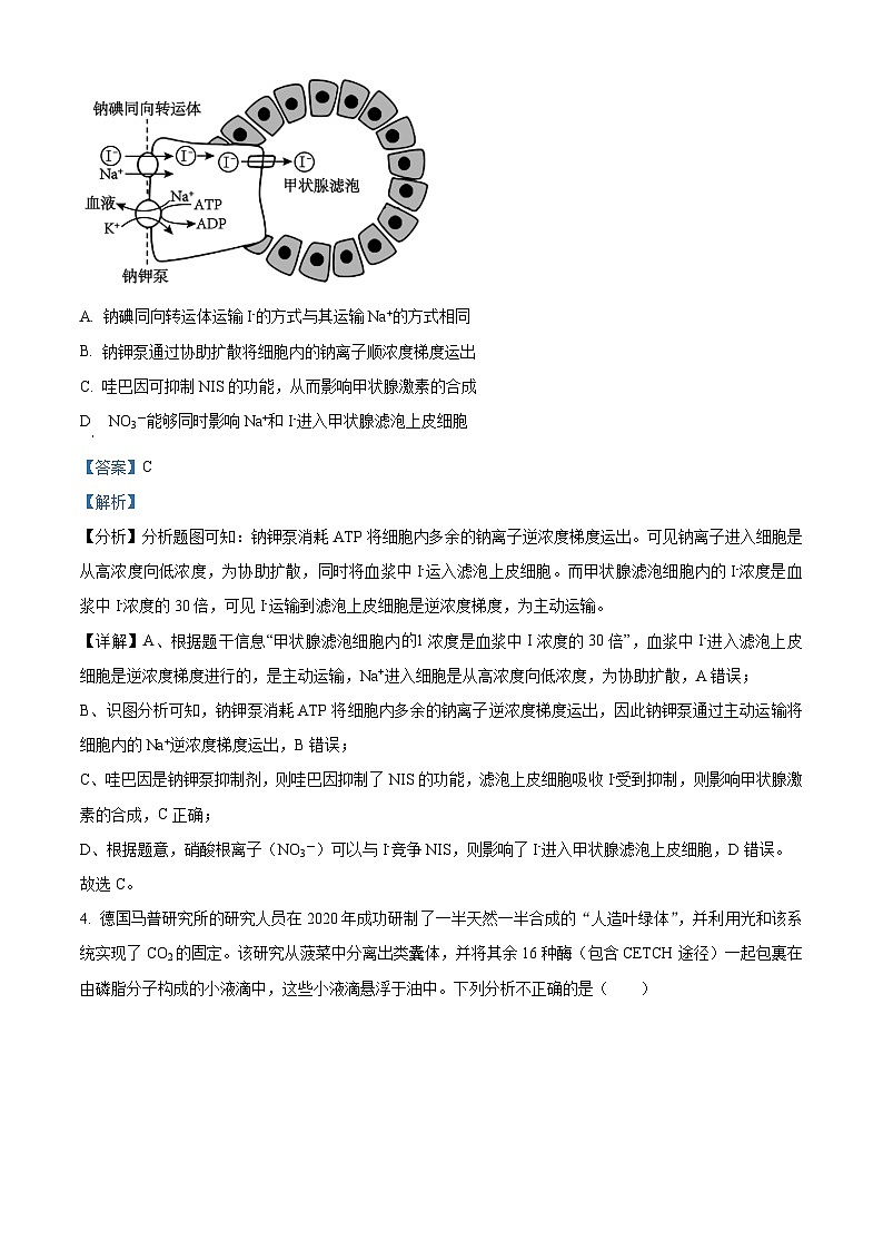 河南省漯河市源汇区高级中学2023-2024学年高三下学期5月月考生物试题（解析版）第3页