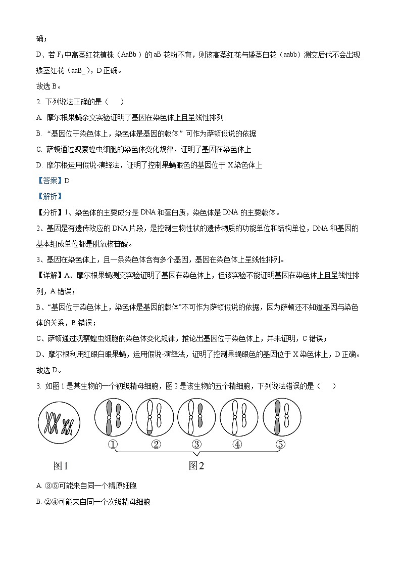 湖南省株洲市芦淞区第一中学2023-2024学年高一下学期期中生物试卷（解析版+原卷版）02