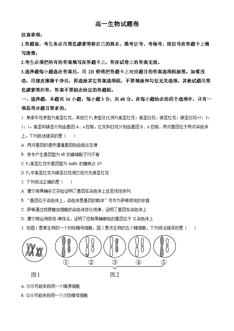 湖南省株洲市芦淞区第一中学2023-2024学年高一下学期期中生物试卷（解析版+原卷版）01