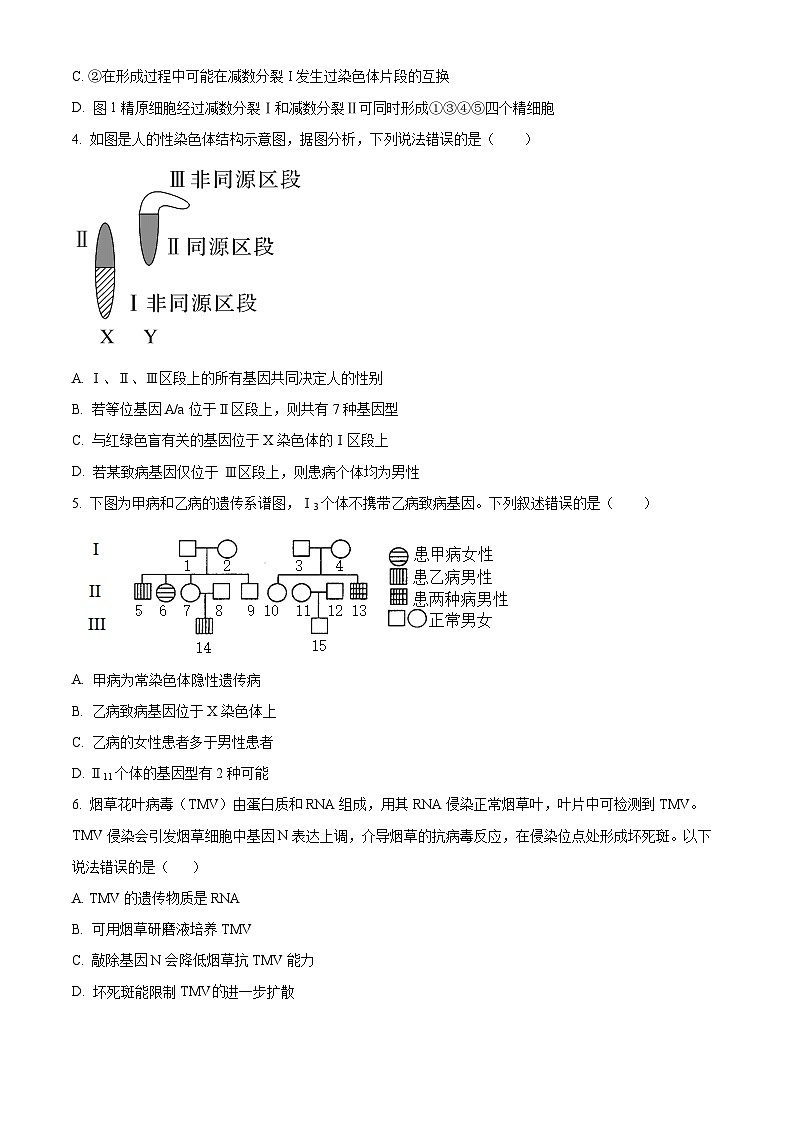 湖南省株洲市芦淞区第一中学2023-2024学年高一下学期期中生物试卷（解析版+原卷版）02