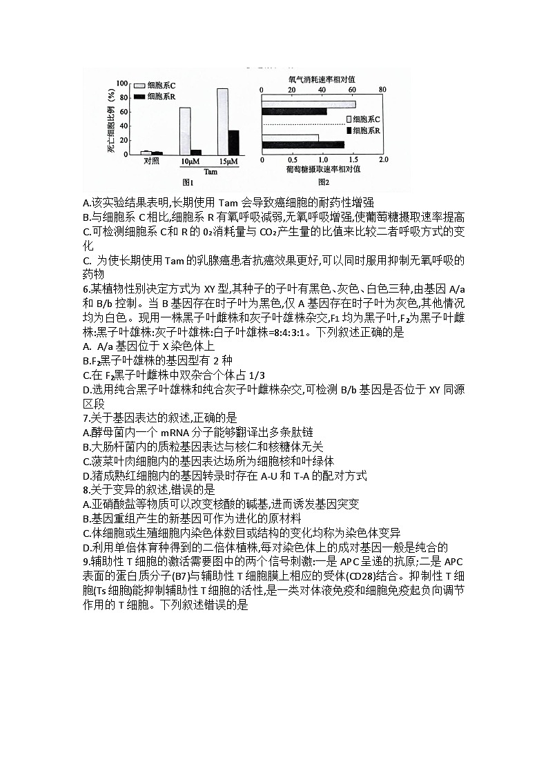 河北省石家庄市普通高中2024届高三下学期三模试题生物Word版含答案02