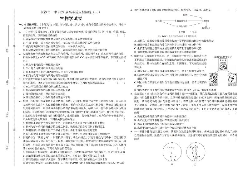 湖南省长沙市第一中学2024届高三下学期三模试题生物PDF版含解析01