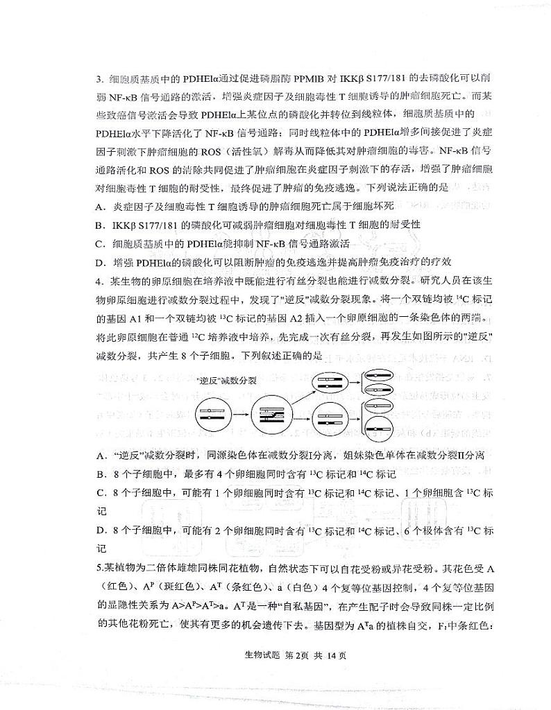 2024届山东省实验中学高三下学期5月针对性考试生物试题第2页