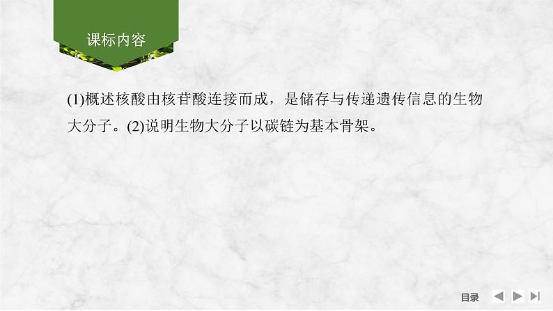 2025届高考 一轮复习 苏教版  核酸是遗传信息的携带者 课件(江苏版)第2页