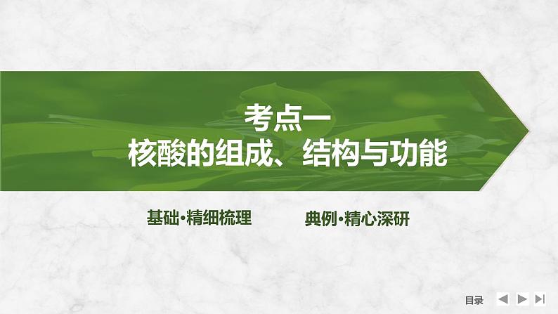 2025届高考 一轮复习 苏教版  核酸是遗传信息的携带者 课件(江苏版)第4页