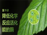 2025届高考 一轮复习 苏教版  降低化学反应活化能的酶 课件(江苏版)