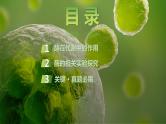 2025届高考 一轮复习 苏教版  降低化学反应活化能的酶 课件(江苏版)