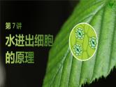 2025届高考 一轮复习 苏教版  水进出细胞的原理 课件(江苏版)