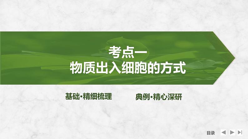 2025届高考 一轮复习 苏教版  物质出入细胞的方式及影响因素 课件(江苏版)04