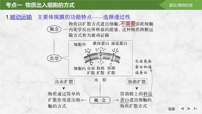 2025届高考 一轮复习 苏教版  物质出入细胞的方式及影响因素 课件(江苏版)05