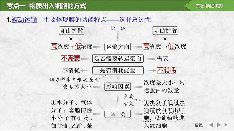 2025届高考 一轮复习 苏教版  物质出入细胞的方式及影响因素 课件(江苏版)06